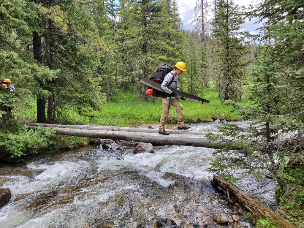 A firefighter carries a chainsaw across a log bridge over a stream in a dense forest.