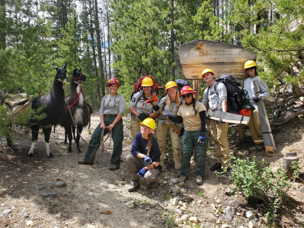 A group of seven forest rangers posing with a llama next to a trail sign in a wooded area.
