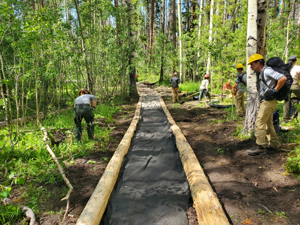 Group of people constructing a wooden pathway through a forest.