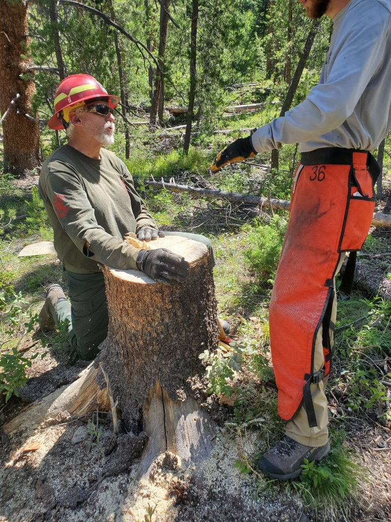 Two forestry workers discussing in a woodland area.