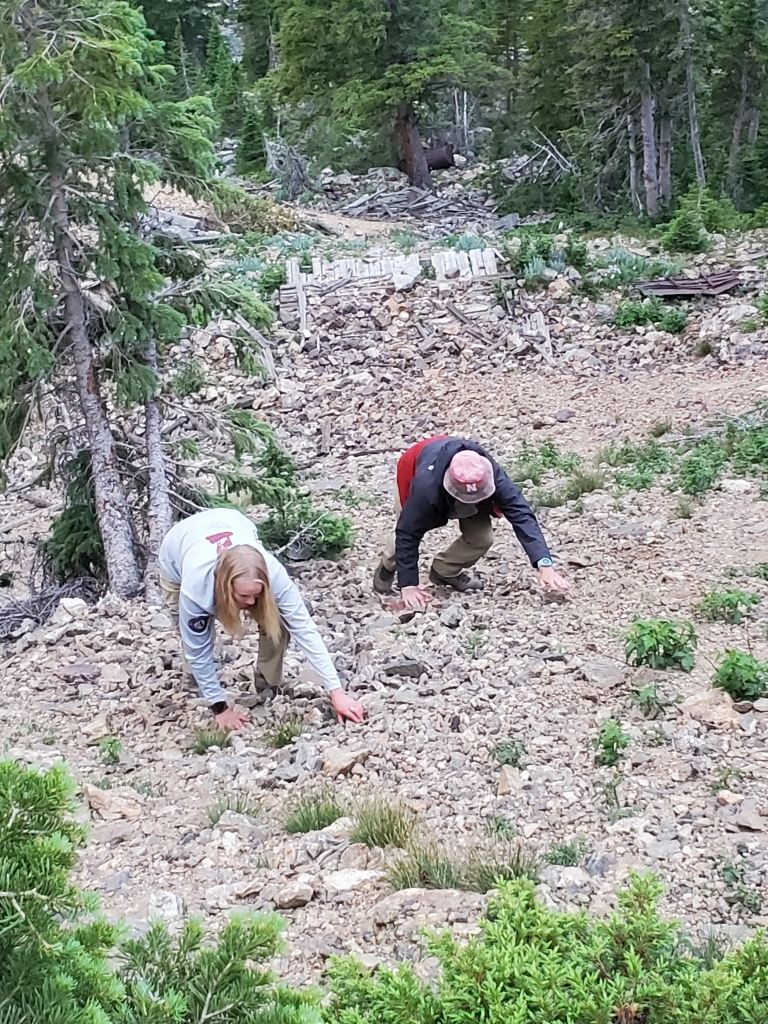 Two persons checking the rocks in a mountain