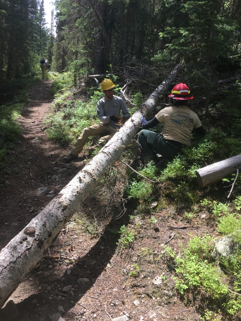 Two forest workers in helmets sitting on a fallen tree on a forest path, with one using a saw.