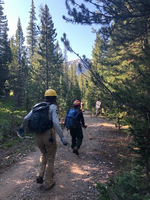 Two hikers walking down a trail in the woods.