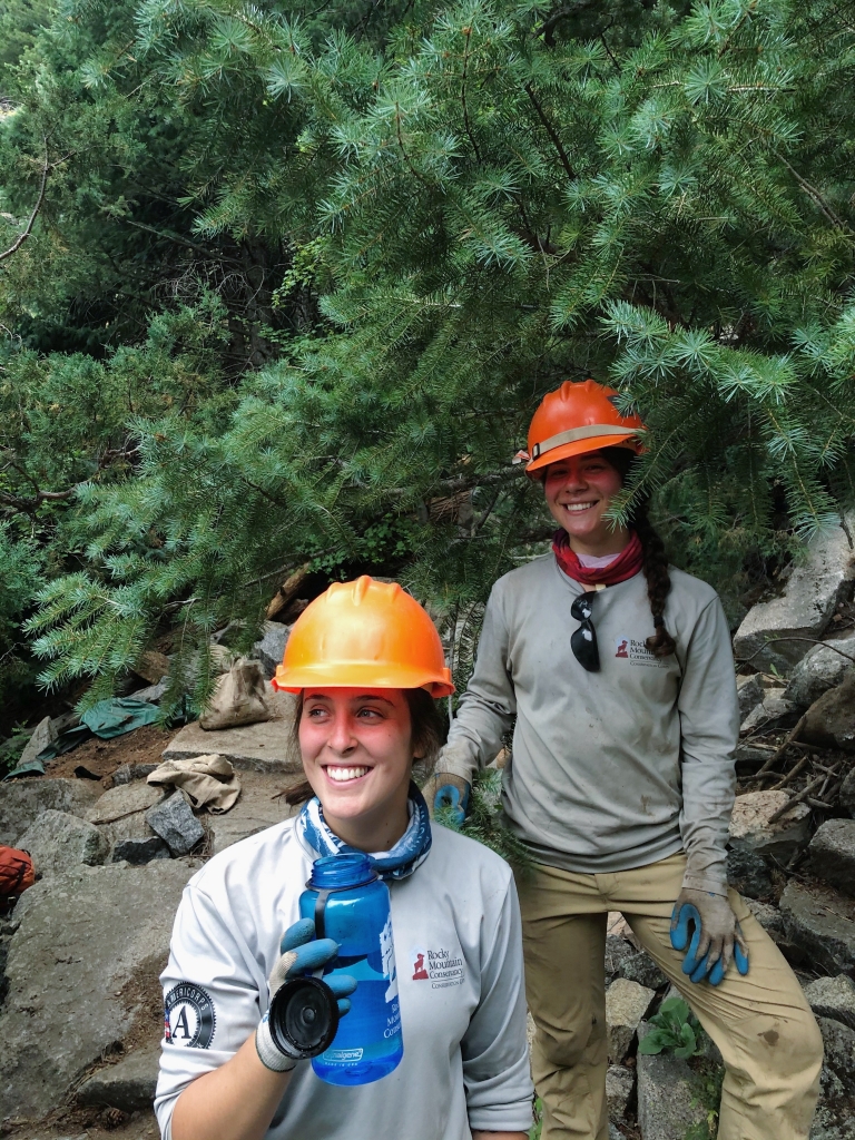 Forestry workers wearing orange helmets and work attire