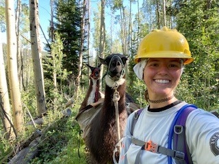 A woman in a hard hat with a llama in the woods.