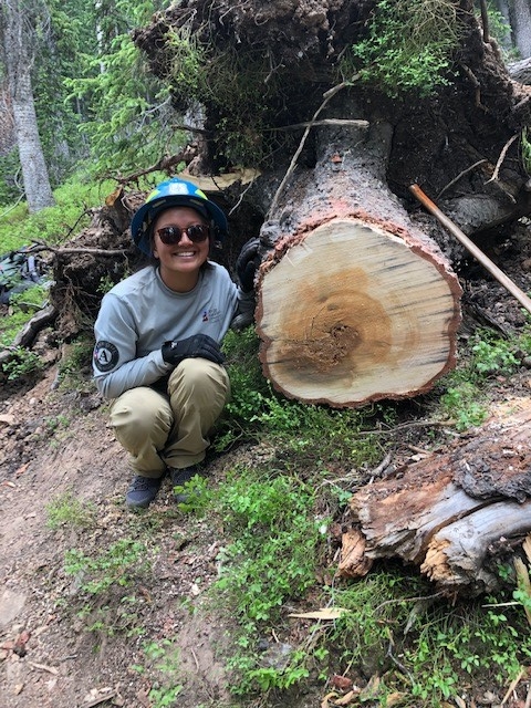 A woman crouching next to a fallen tree.