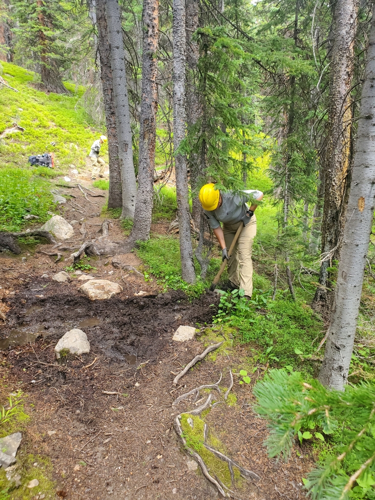 A person digging in the forest