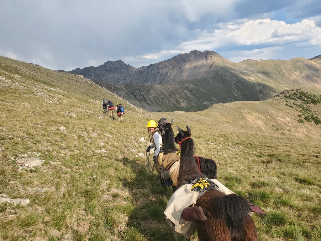 Group of travelers trekking through a mountainous landscape