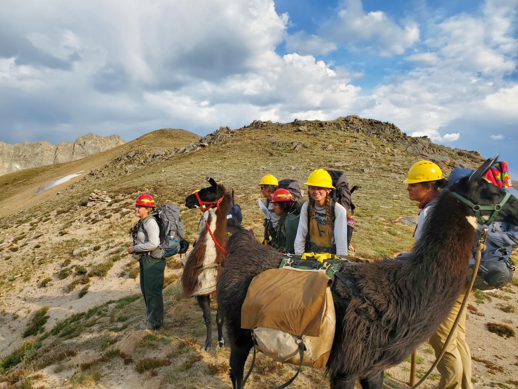 A group of hikers with llamas in a mountainous area