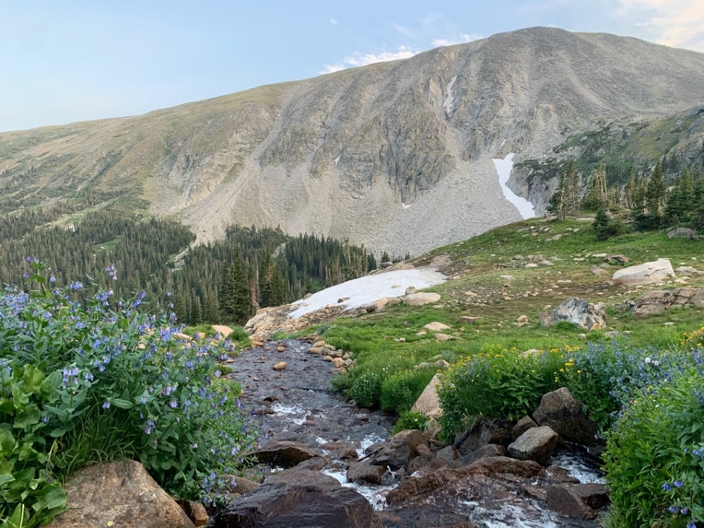 Alpine landscape featuring a small stream in the foreground