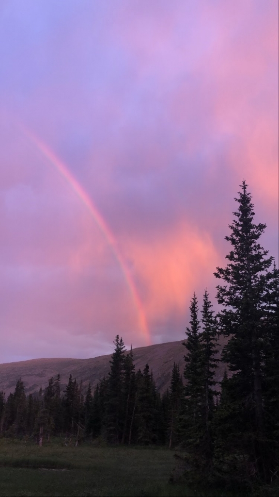 A rainbow arcs over a twilight sky in a forest