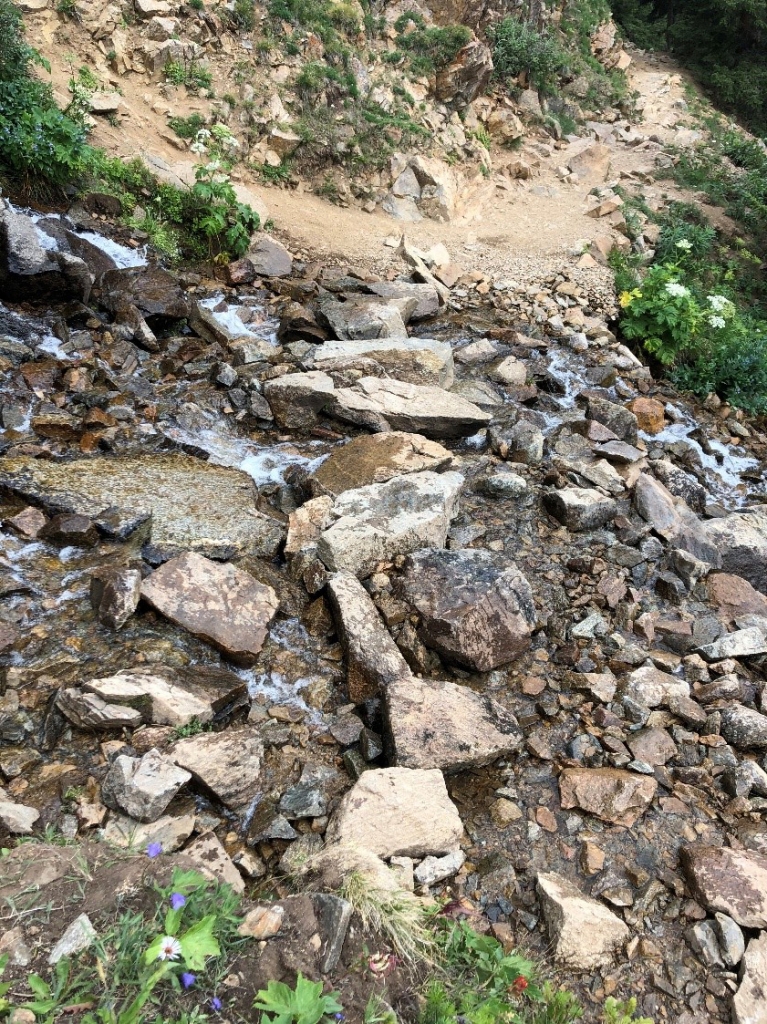A rocky trail with a stream running through it.