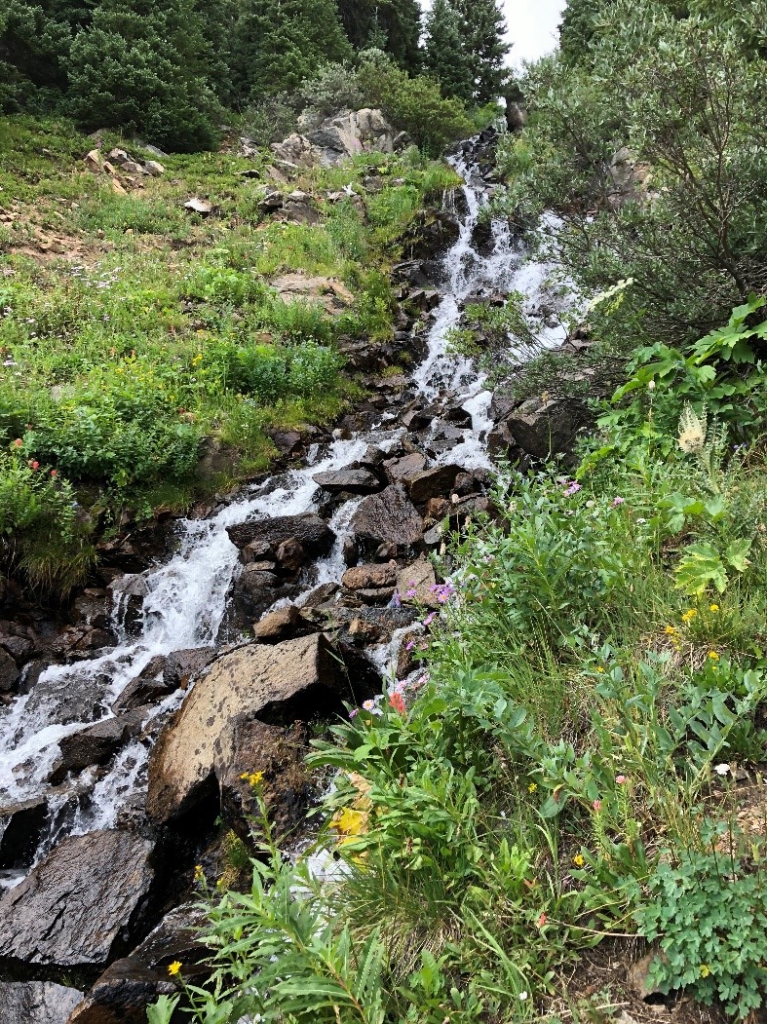 A stream running through a grassy area with rocks and flowers.