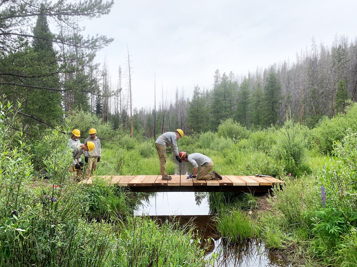 A group of people working on a wooden bridge in a wooded area.