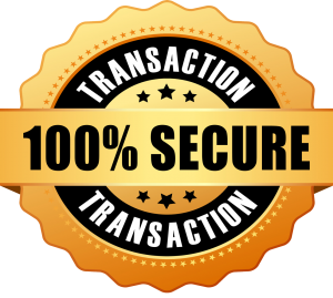 100% Secure Transaction