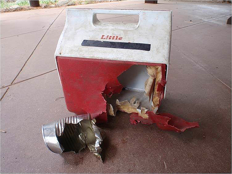 A broken little tikes cooler on the ground.