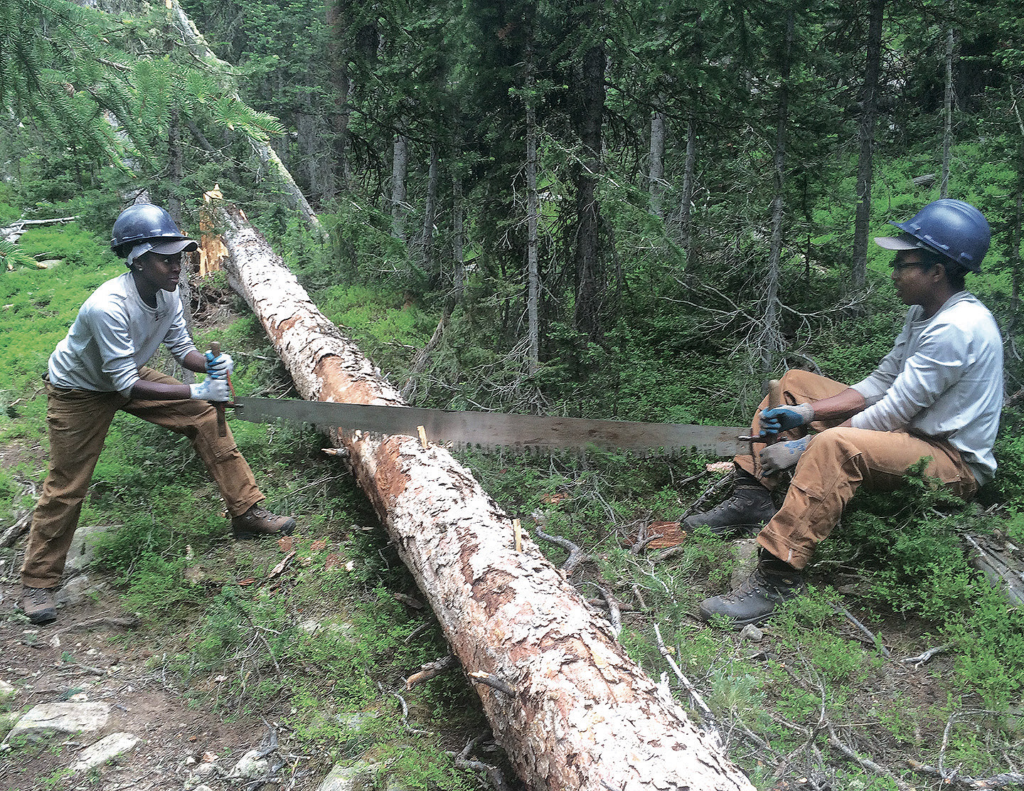 Two men cutting a log in the woods.