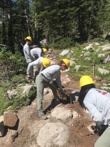 Five members of the HSLC wear hardhats and gloves while using shovels to repair a section of hiking trail.