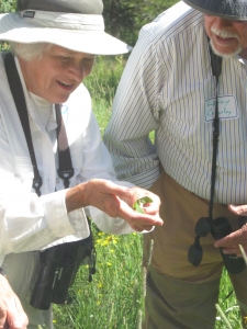 Older couple looking at plants