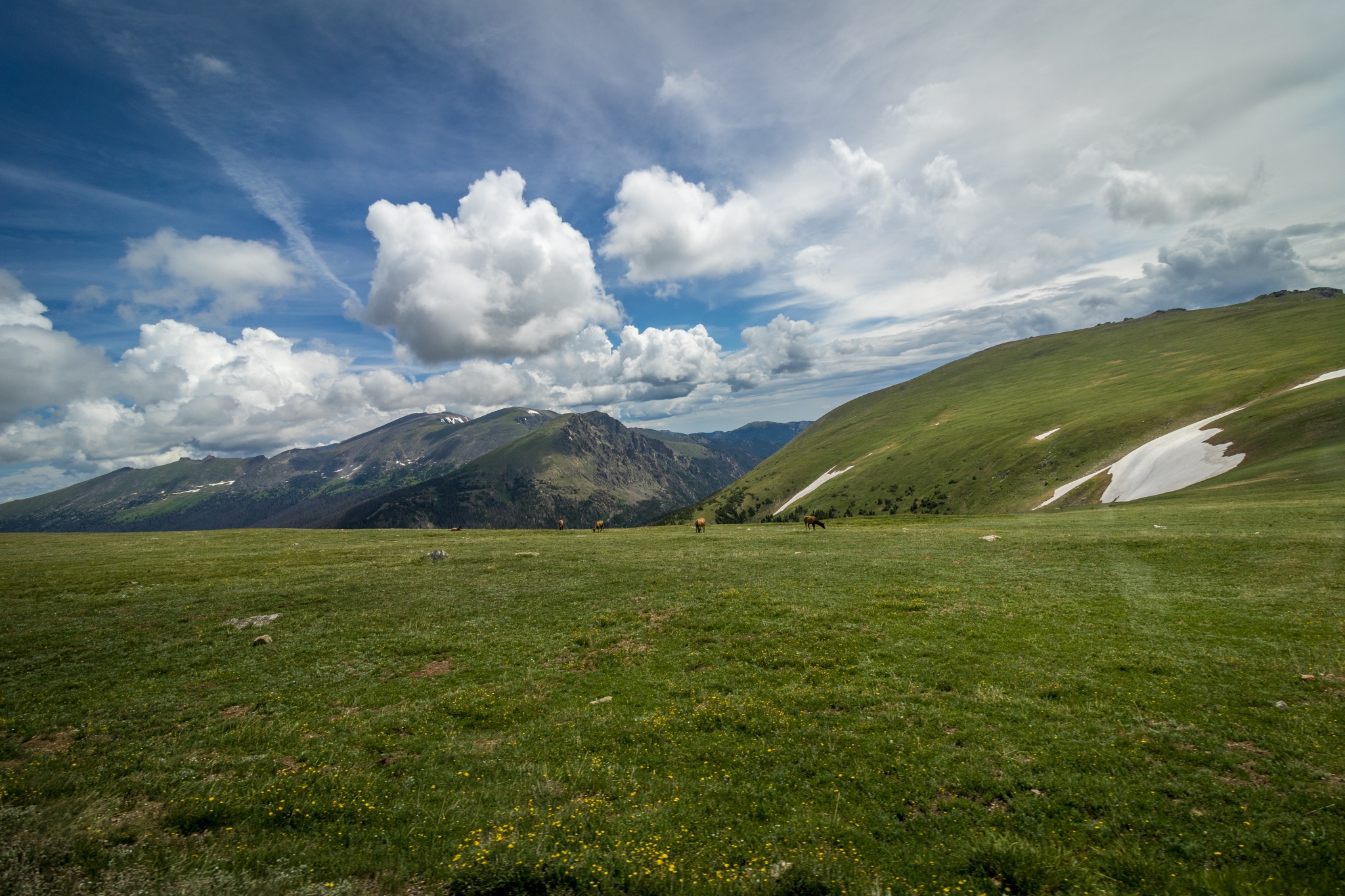 Adventure by Bus - Rocky Mountain Conservancy