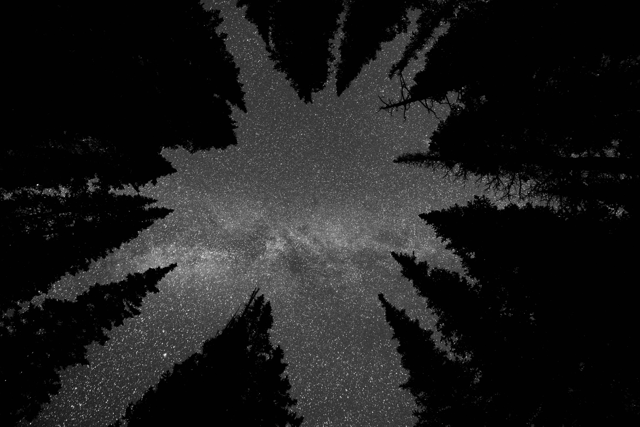 A black and white photo of a star in the sky.