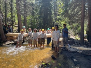 A group of people standing in a stream in the woods.