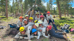 Group of happy workers in a forest
