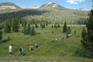 A group of hikers walking through a lush meadow with scattered trees, with mountains in the background under a clear blue sky.