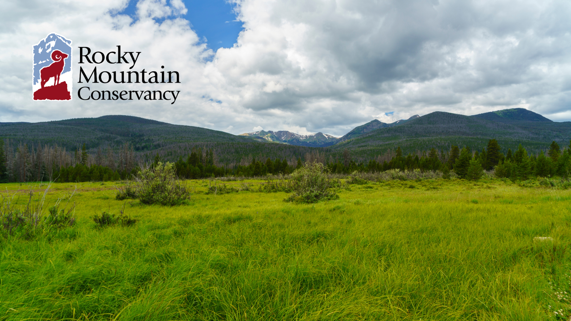 A vast green meadow with mountains in the background under a cloudy sky. "Rocky Mountain Conservancy" logo is in the top left corner of the image.