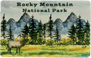 Illustration of Rocky Mountain National Park featuring a mountainous backdrop, dense forest, and an elk in the foreground. The words "Rocky Mountain National Park" appear at the top on the Magnet - RMNP Mountain Elk.