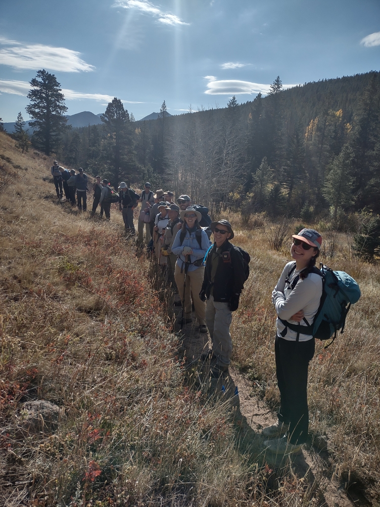 A group of hikers in a line on a trail surrounded by trees and mountains under a clear sky.