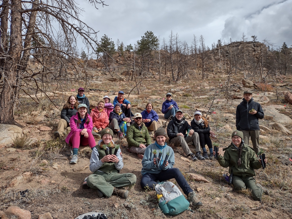 A group of people sitting on rocks outdoors in a forested, mountainous area, some holding small plants and wearing casual outdoor attire.