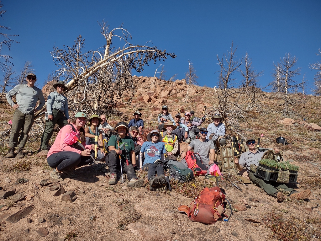 A group of people sitting and standing on a rocky hillside with some holding plants and tools, under a clear blue sky. Trees and backpacks are visible in the background.