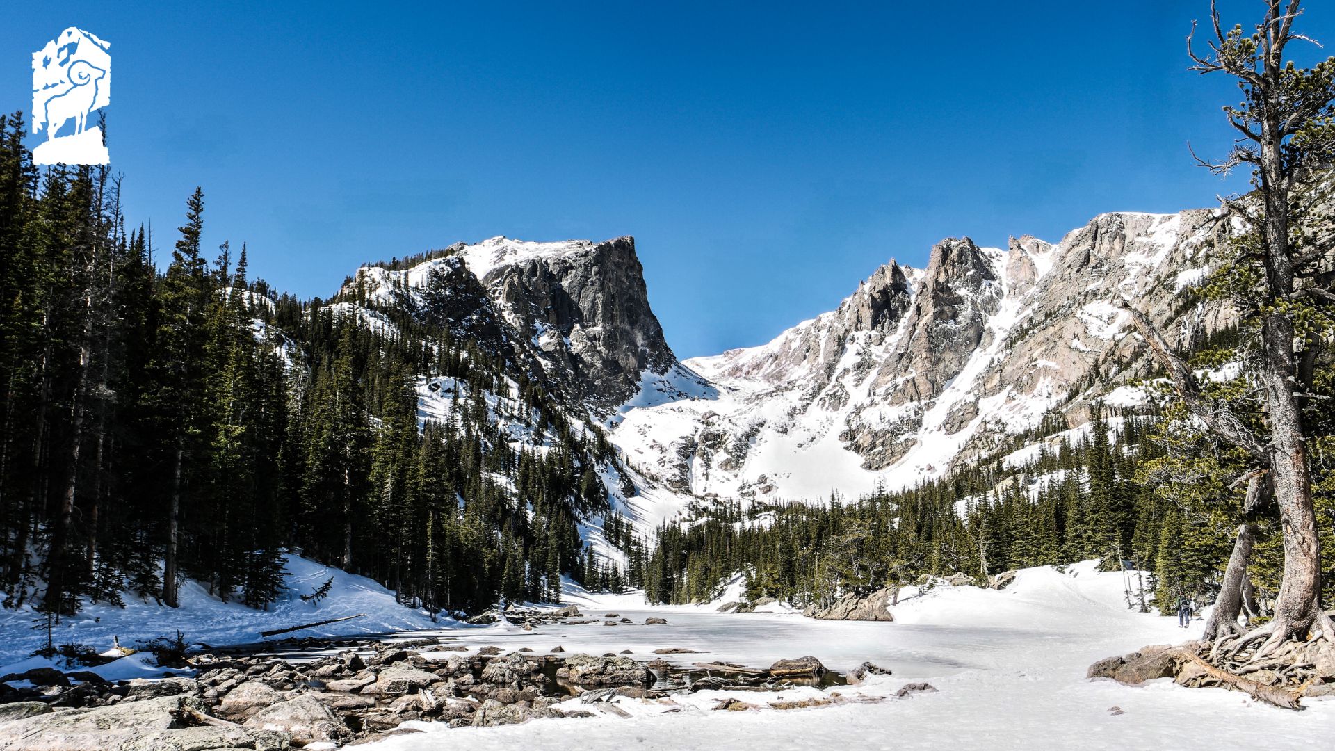 A snowy mountain range under a clear blue sky, with a partially frozen lake in the foreground surrounded by evergreen trees.