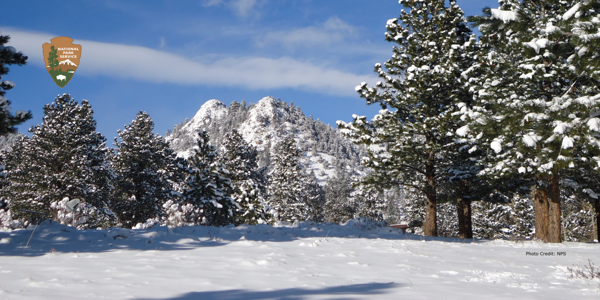 Snow-covered landscape with pine trees and a mountain in the background under a clear blue sky. National Park Service logo in the top left corner.