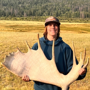 A person in a blue hoodie and cap stands in a field, holding a large moose antler, with a forest in the background.