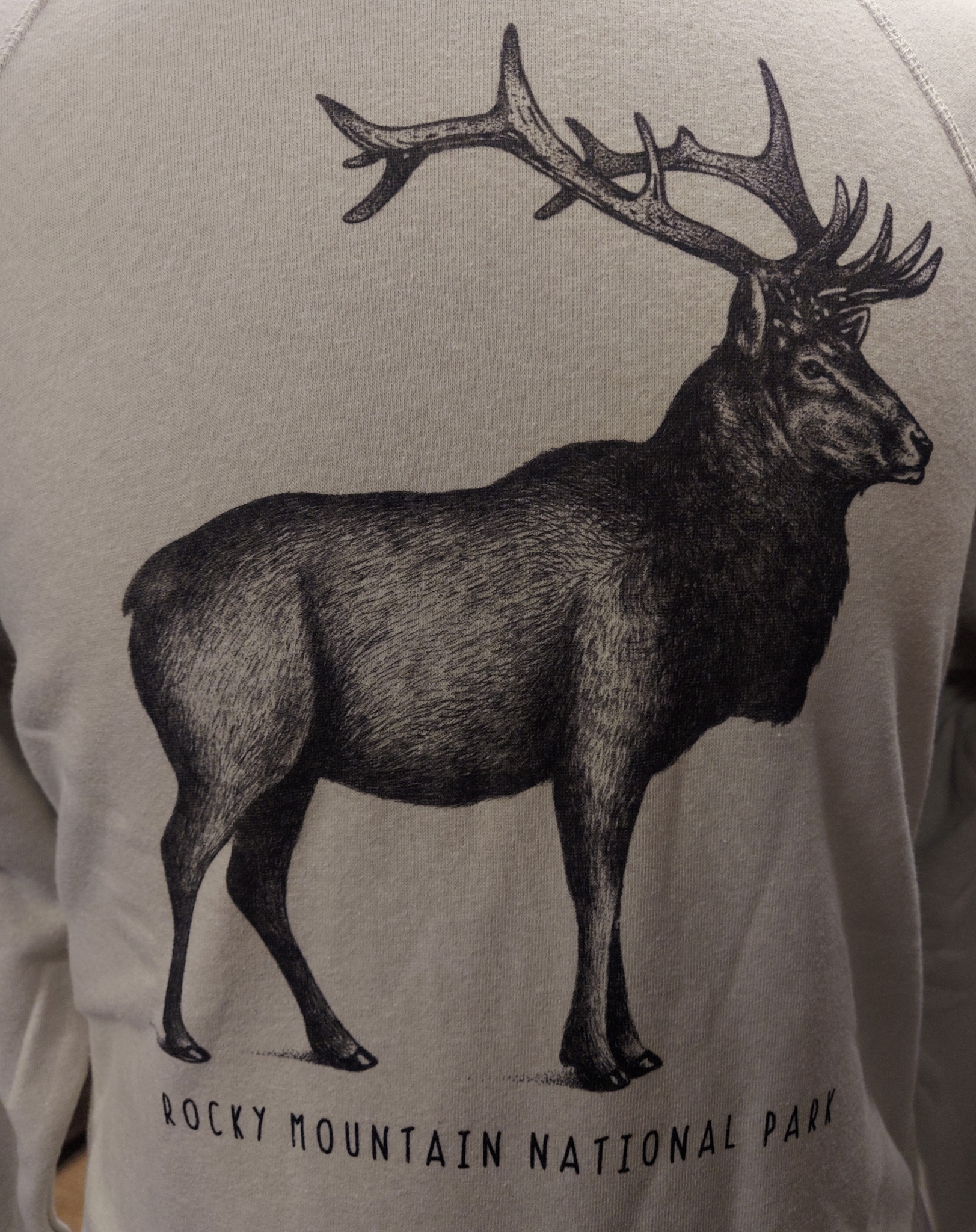 Elk Sketch Crewneck featuring a detailed illustration of an elk with large antlers, labeled "Rocky Mountain National Park.